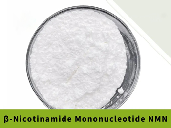 What Is Beta Nicotinamide Mononucleotide?